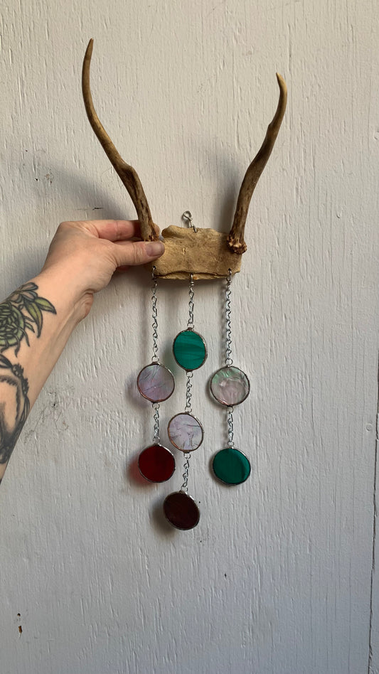 Forest Dweller Antler