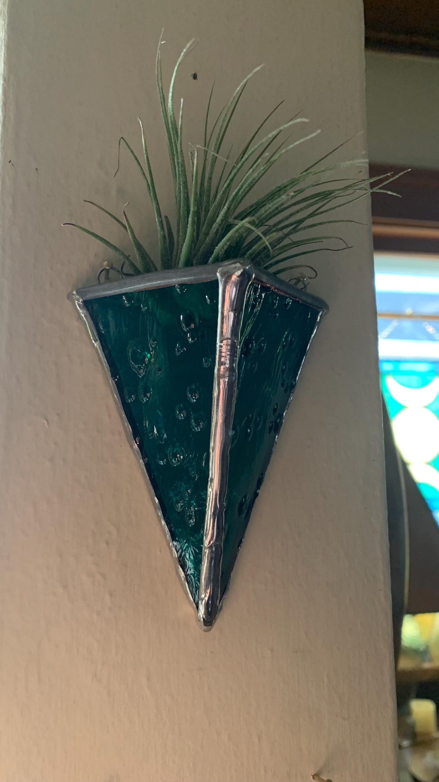 Air Plant Sconce