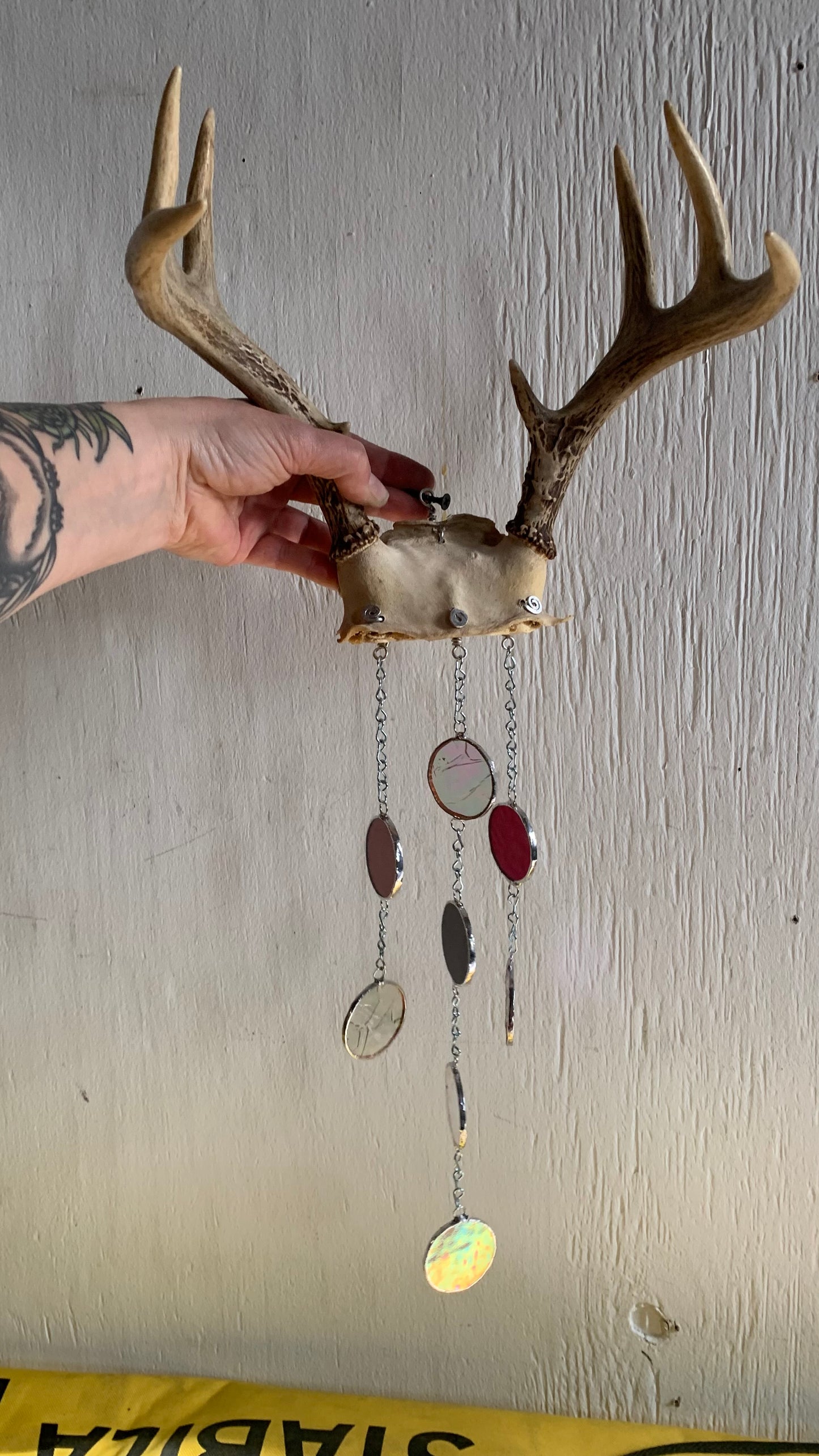 Majestic Antler