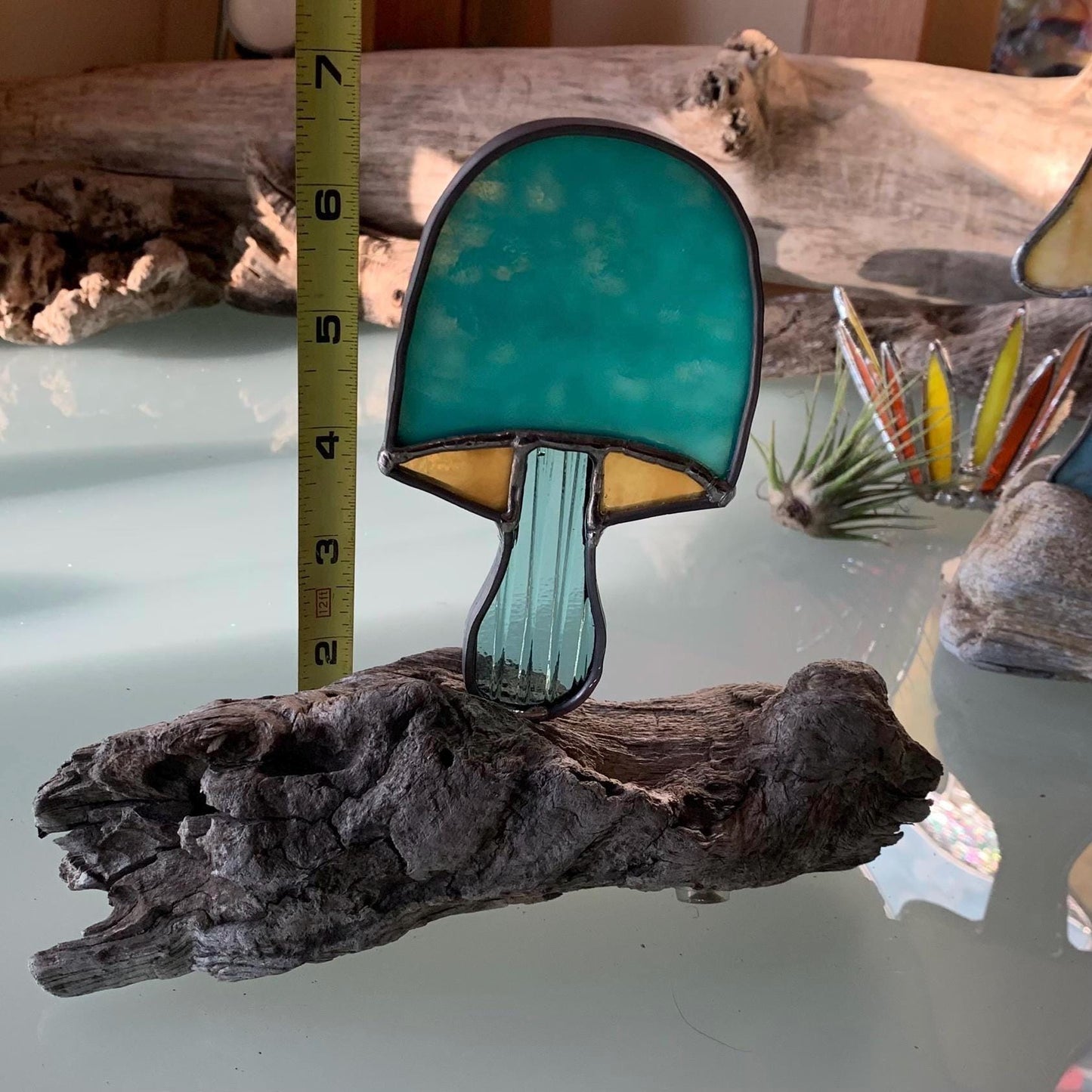 Mushroom on Drift
