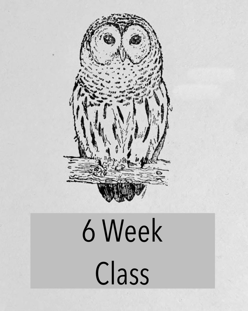 6 Week Wednesday Stained Glass Class 8/12-9/16/2026