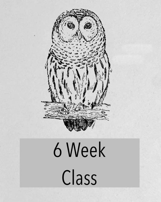 6 Week Tuesday Stained Glass Class 10/6/26 - 11/10/26