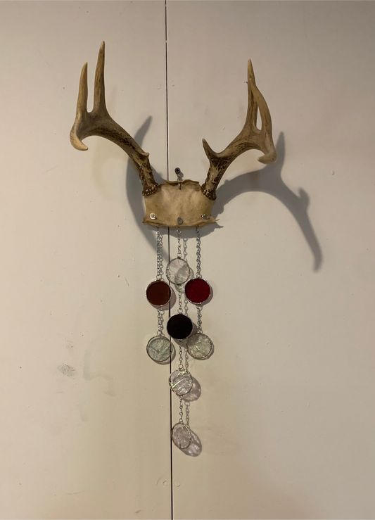 Majestic Antler