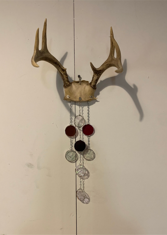 Majestic Antler